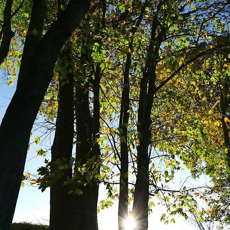 Tiergarten Tautendorf